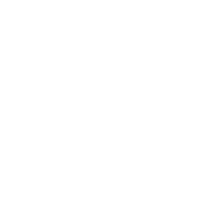 UNACH Logo